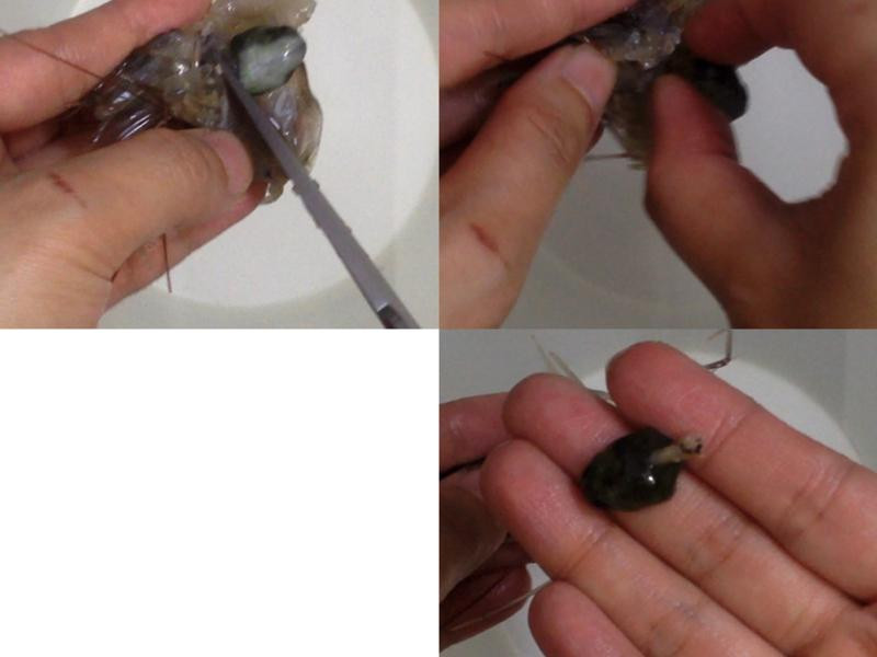 ̩ʽ��Ϻ��˿�ҵ�����