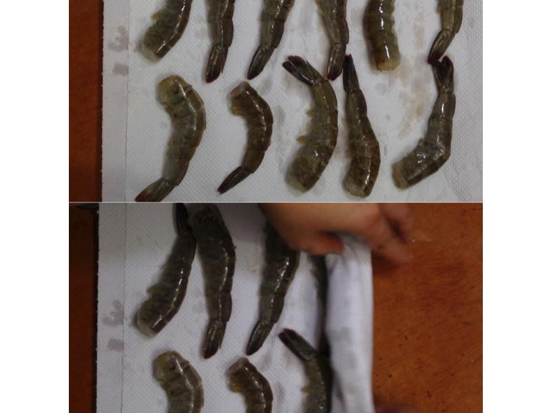 ̩ʽ��Ϻ��˿�ҵ�����