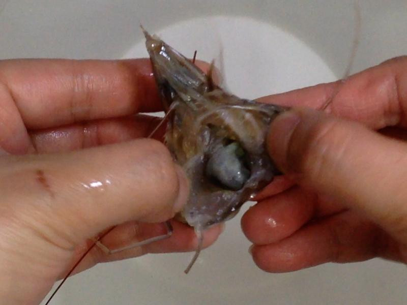 ̩ʽ��Ϻ��˿�ҵ�����