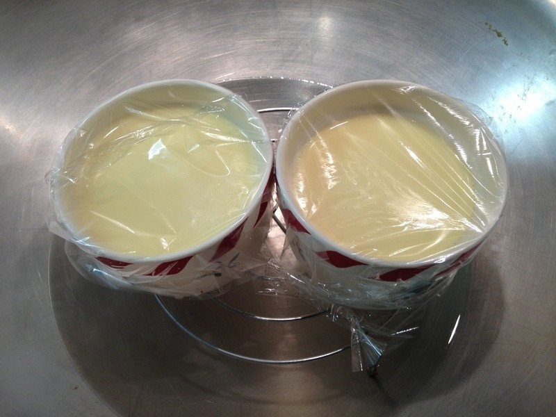 ���ǲ�ݮ����������