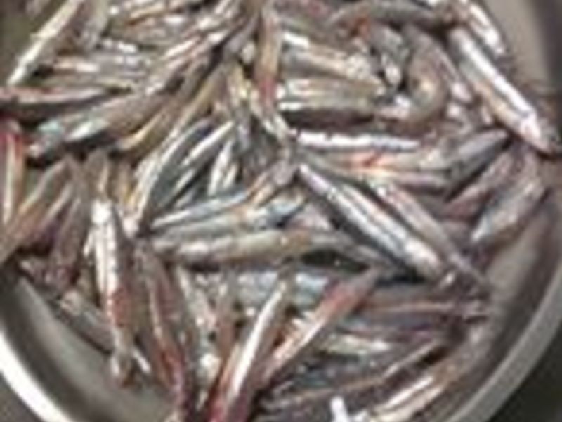 ���㶡���������