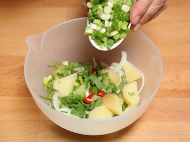 ̩ʽţ����ɳ��������