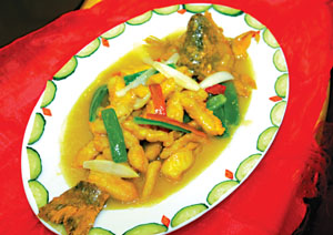 ��ʽ����������