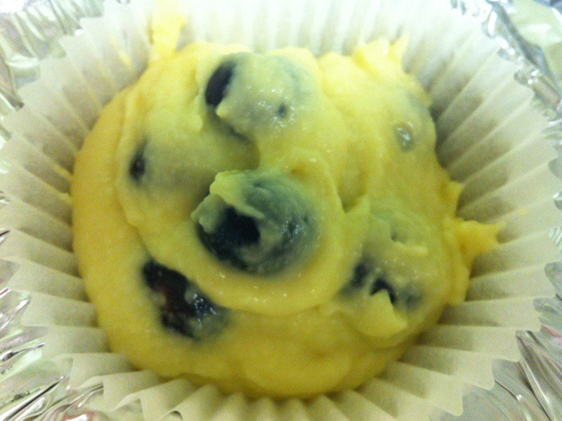 ��ݮ���Blueberry Muffin������