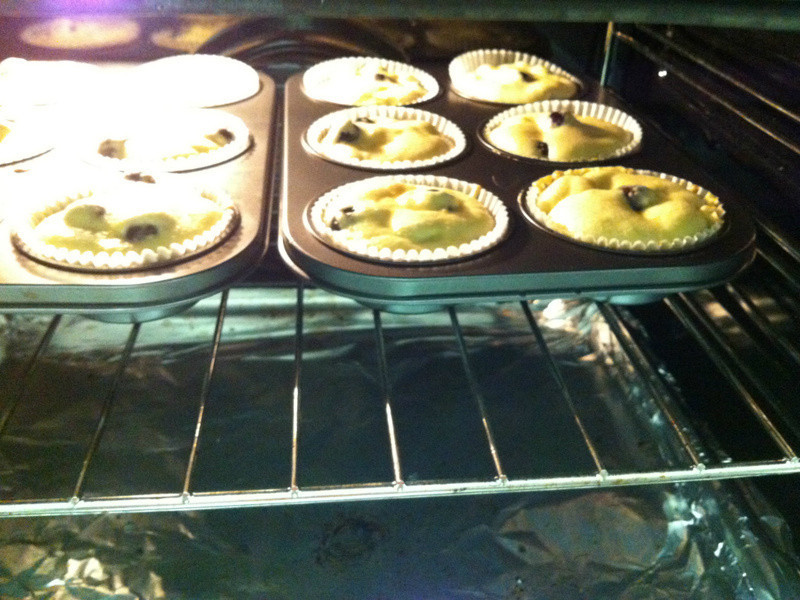 ��ݮ���Blueberry Muffin������