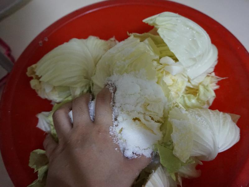 DIY �����ݲ�-Ʒ�ߺ�ʽ���潴������