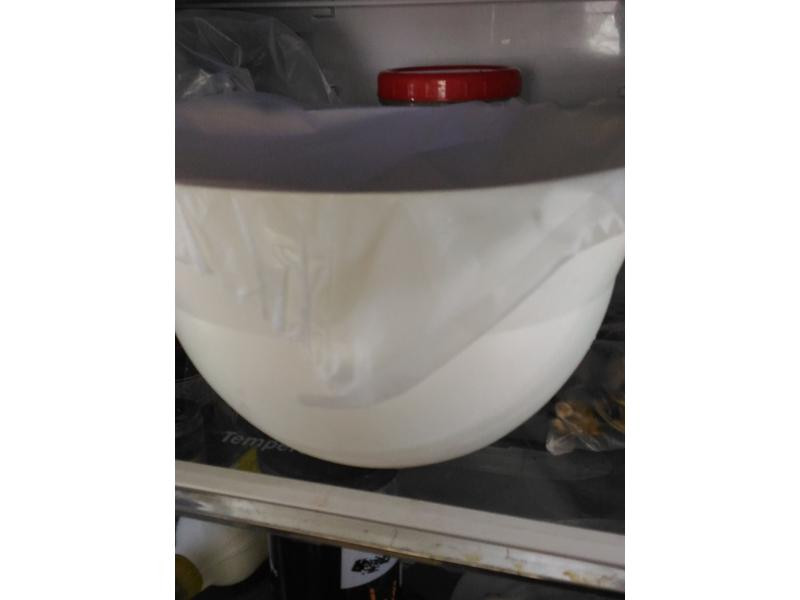 ��ڼ���ʨ��ͷ������