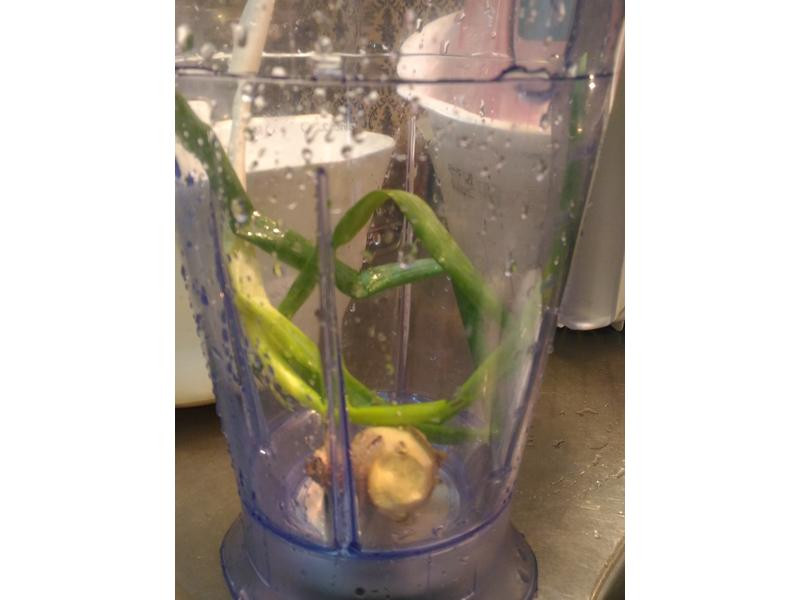 ��ڼ���ʨ��ͷ������