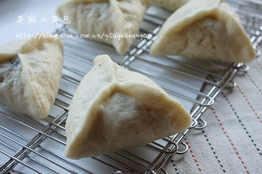 ֥�����ǰ�������