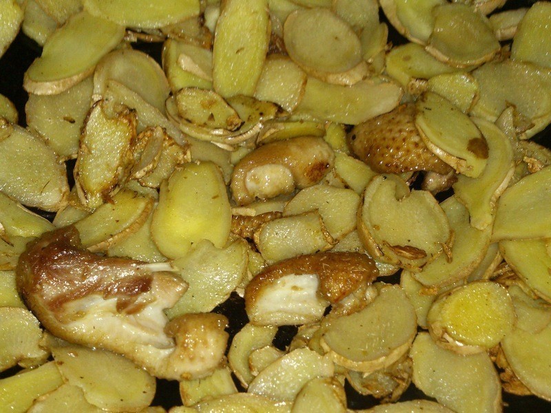 ����ٹ���ƬѼ~[���Ÿ���Ʈ������]������