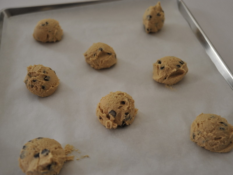 �����ɿ��������ɵ�����