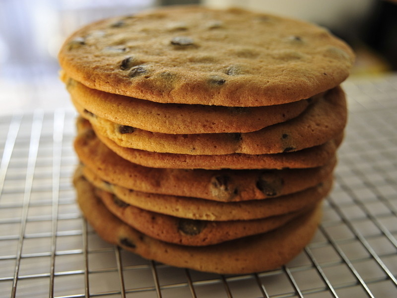 �����ɿ��������ɵ�����