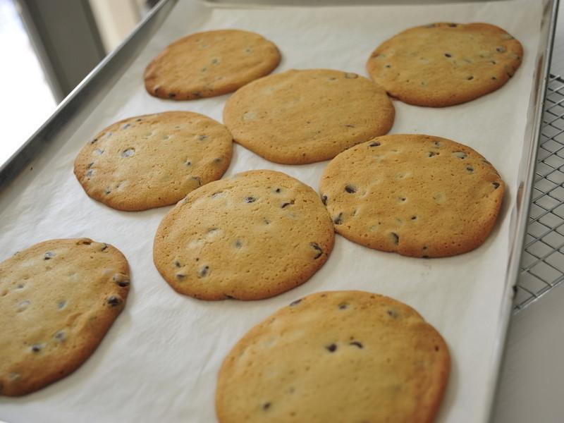 �����ɿ��������ɵ�����