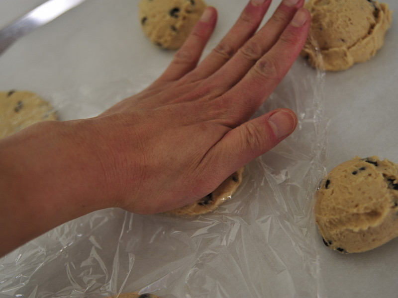 �����ɿ��������ɵ�����