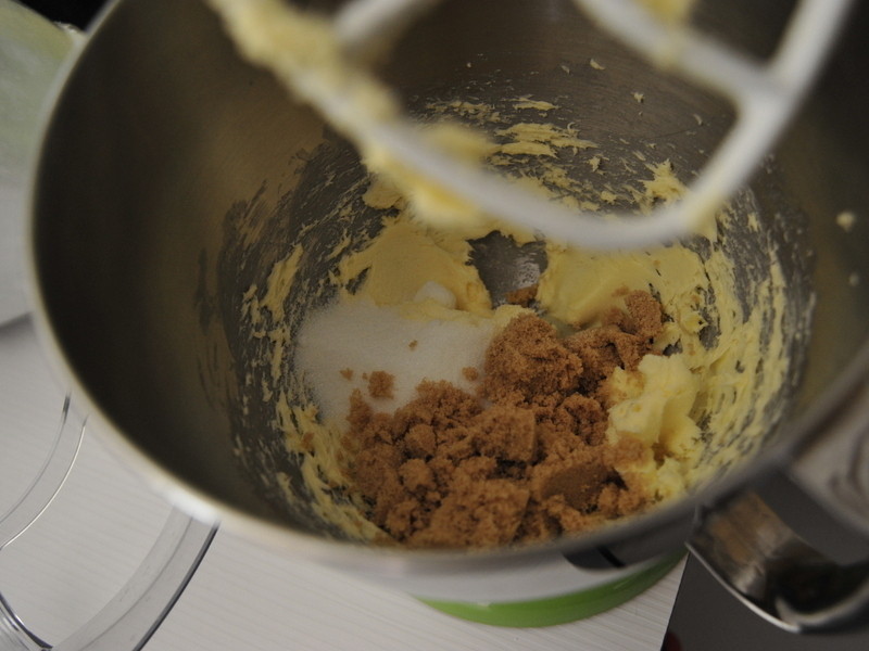 �����ɿ��������ɵ�����