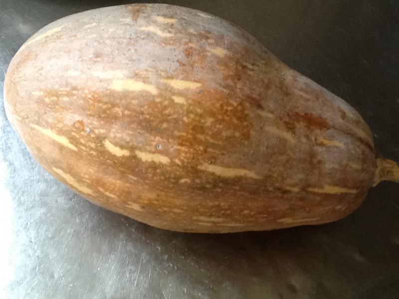 �����Ϲϣ�10���ӿ����ϲˣ�������