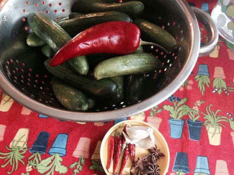 Ϳ�����ƹϵ�����