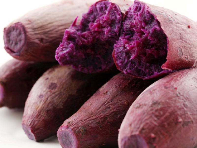 ���ĵع���˾������