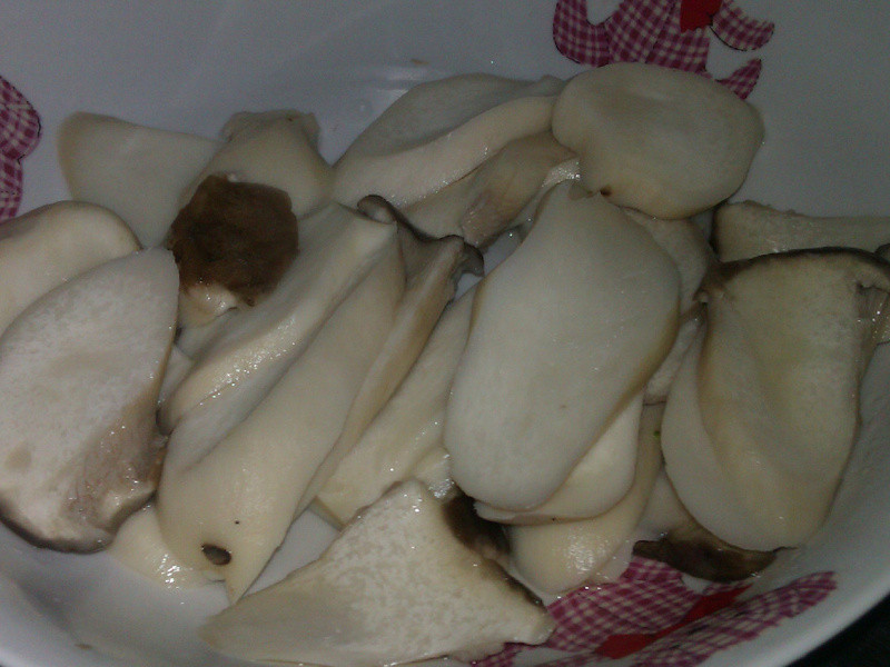 ������ӱ�Ƭ������