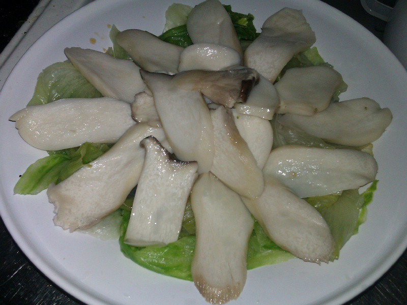 ������ӱ�Ƭ������