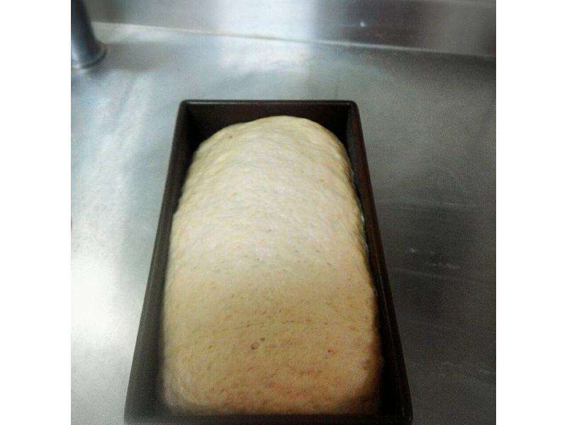 ��֥���ɿ���˫ɫ��˾������