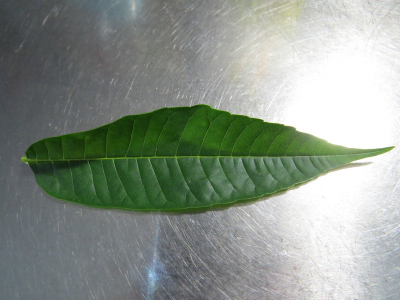 ����׮�ུ?? ��������