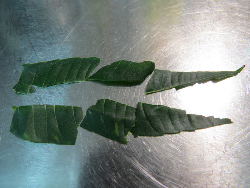 ����׮�ུ?? ��������