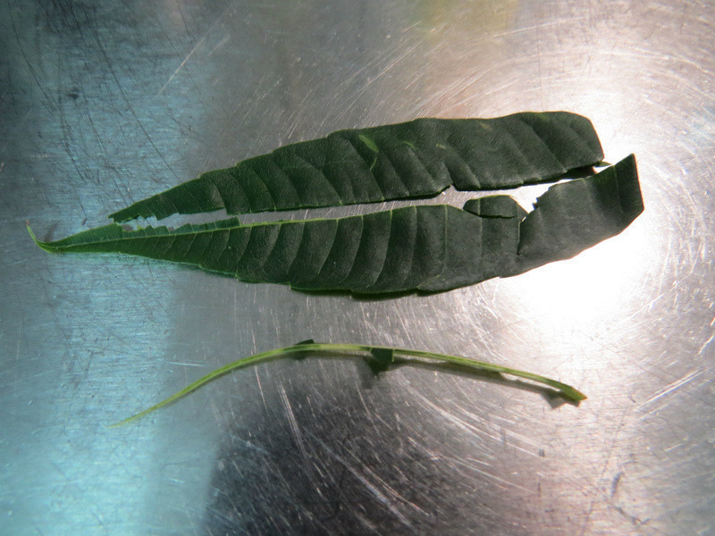 ����׮�ུ?? ��������