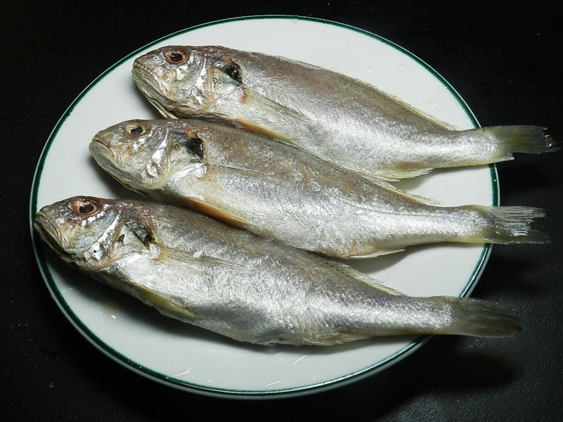 ���������׿��������