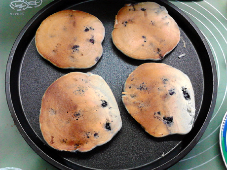 ��֬��ݮ�����ɱ�������