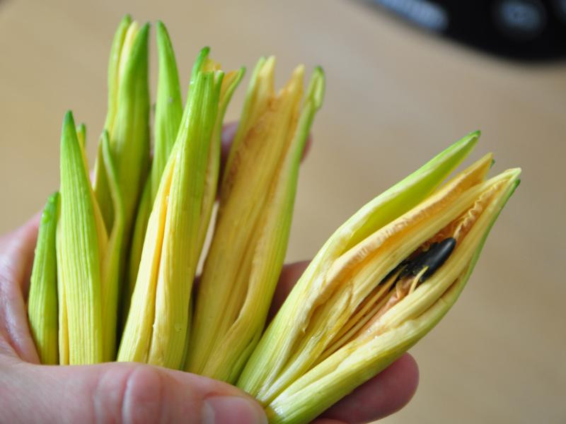 �����Ź��������