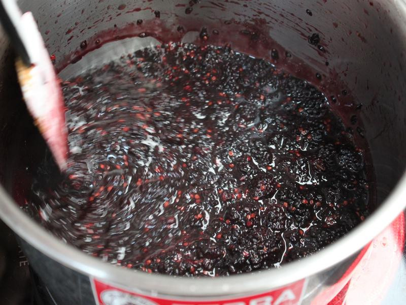 ɣ驹���������������