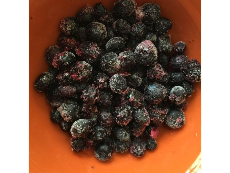 ��ݮţ���ʹ���������