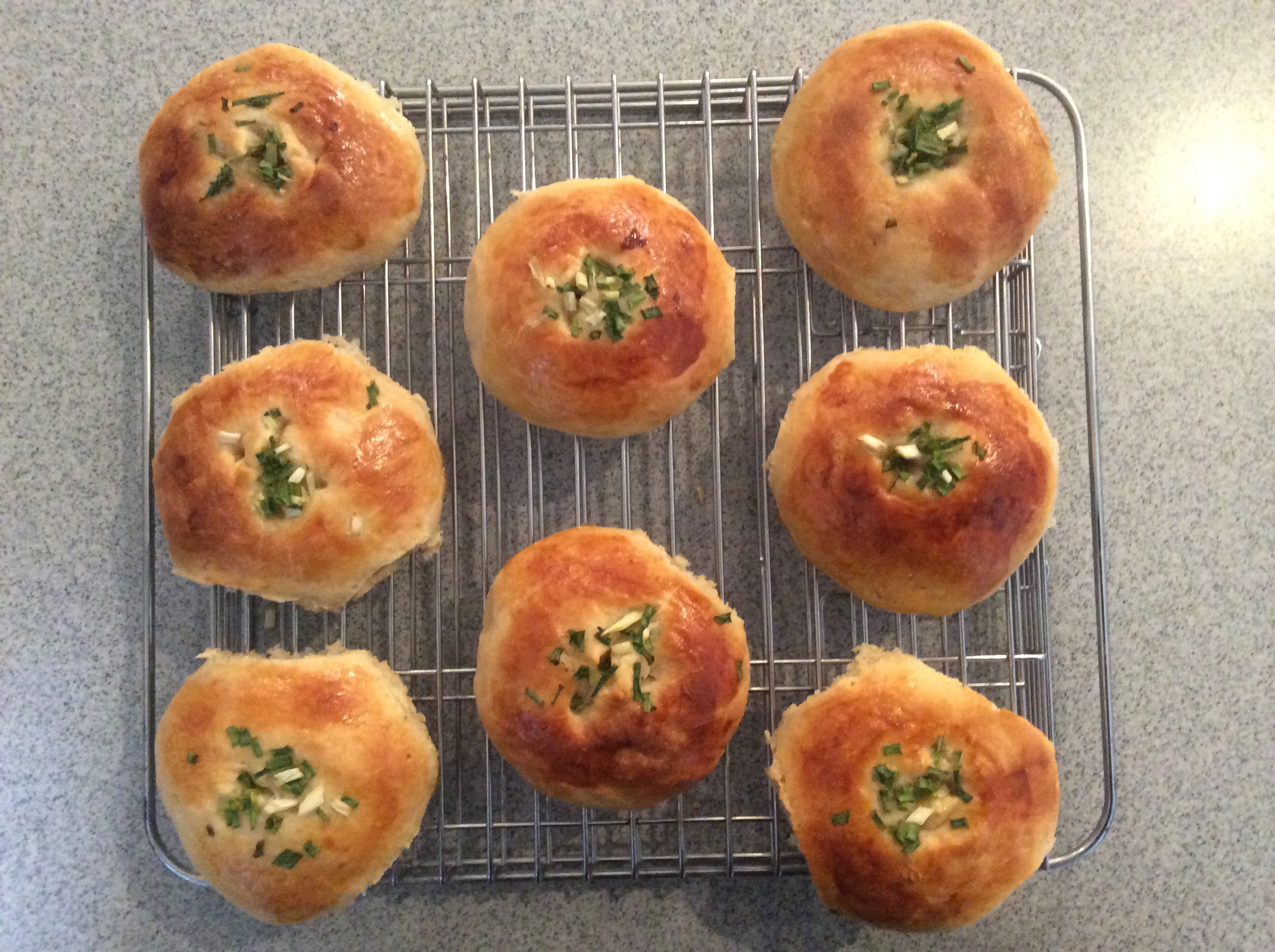 �����̦������������