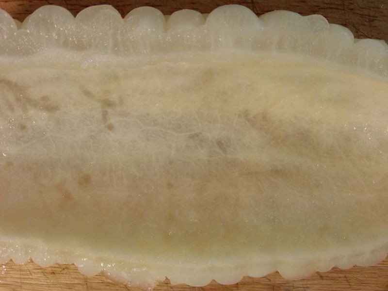 ÷�˿���ѵ�����