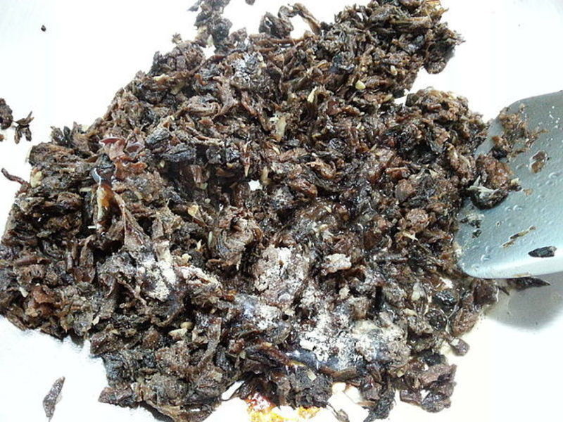 ÷�˿���ѵ�����