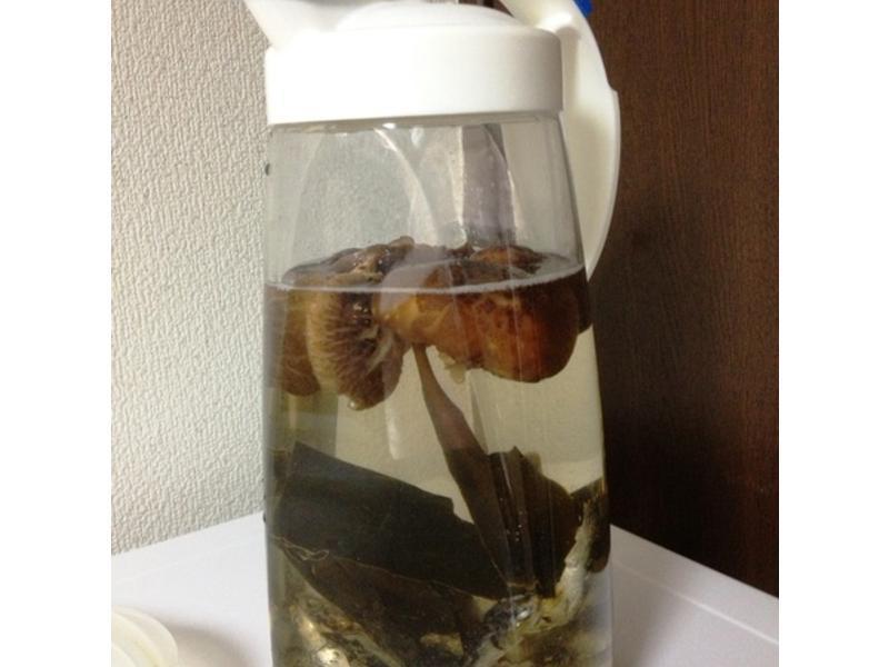 ��ǰ�� (��ʽ��˵�ʮ�������