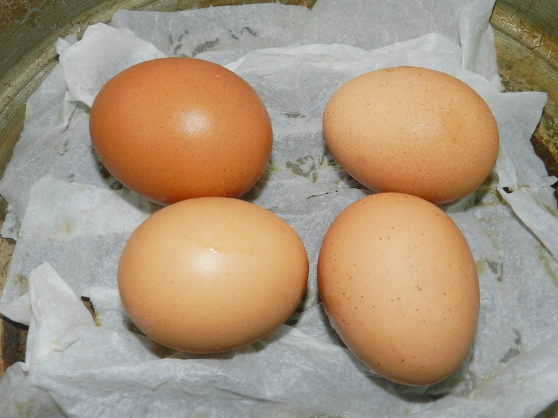 ���»����ó���ֽ��~Ӫ�������ε�����