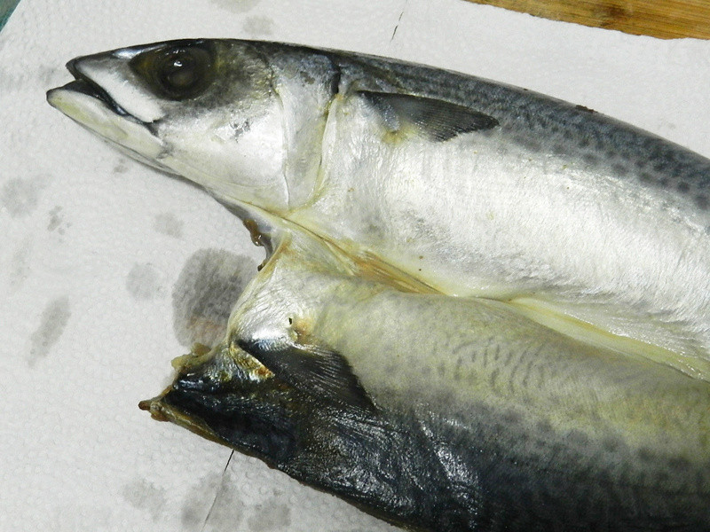 ���»����ó���ֽ��~Ӫ�������ε�����