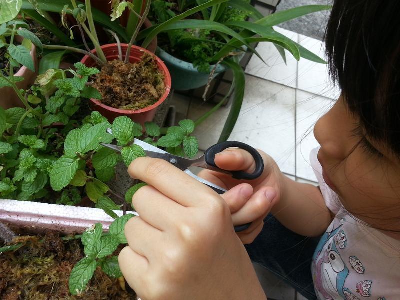 �ں�˱����(̩ɽ��˱� �ڰ˱�)������