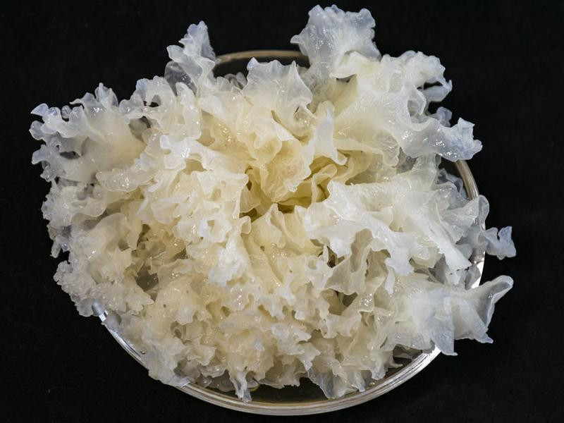 ������÷���������ƽ��������