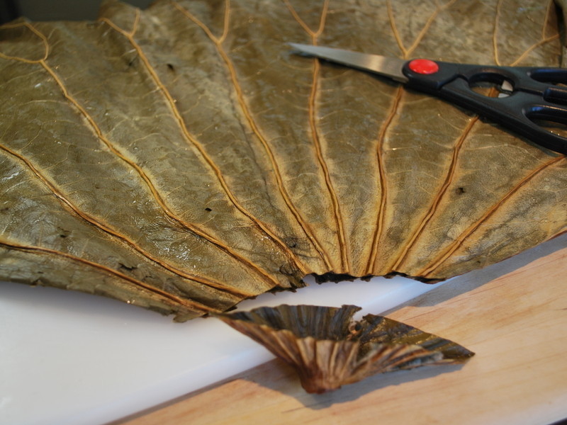 ����ʵ���ҡ���ʧ�ܺ�Ҷ�յ�����