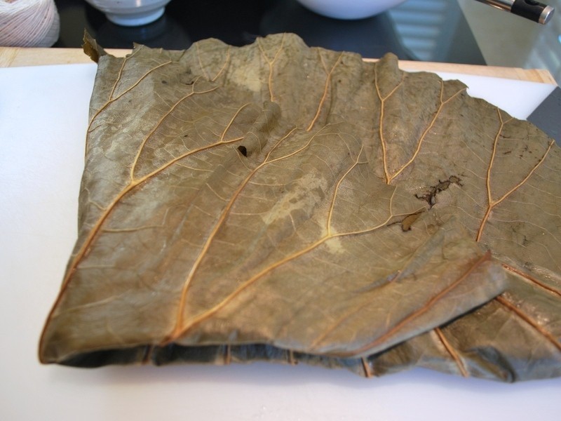 ����ʵ���ҡ���ʧ�ܺ�Ҷ�յ�����