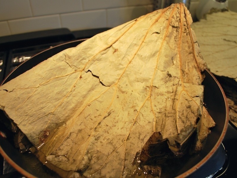 ����ʵ���ҡ���ʧ�ܺ�Ҷ�յ�����