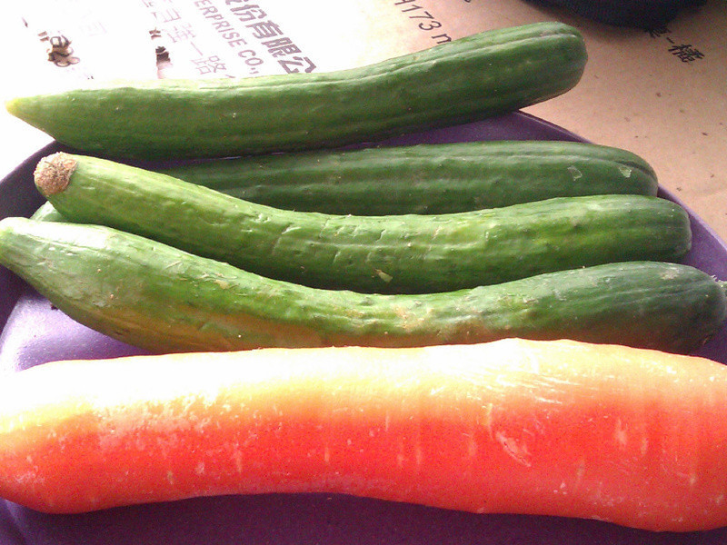 ������ˬ�����Z�ϵ�����