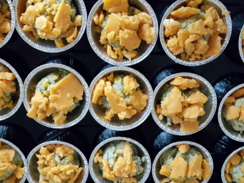 �h������������������