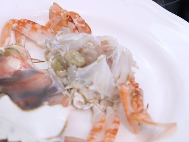 ���񵰰���з������