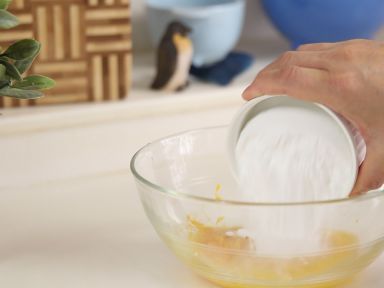 ���ѩ�������