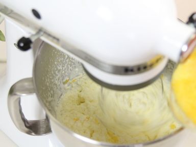 ���ѩ�������