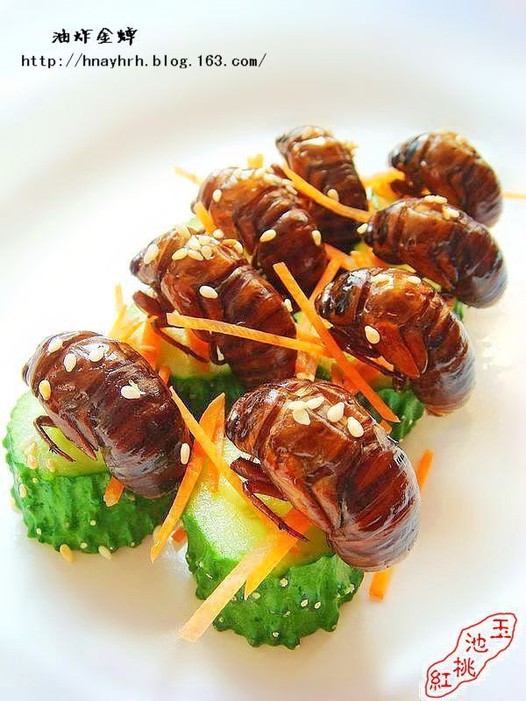 ��ը���������